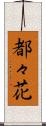 都々花 Scroll