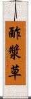 酢漿草 Scroll