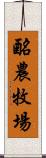 酪農牧場 Scroll