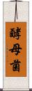 酵母菌 Scroll