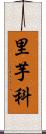 里芋科 Scroll