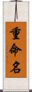 重命名 Scroll