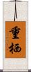 重栖 Scroll