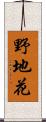 野地花 Scroll
