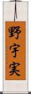 野宇実 Scroll
