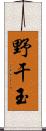 野干玉 Scroll