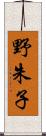 野朱子 Scroll