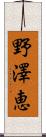 野澤恵 Scroll