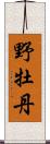 野牡丹 Scroll