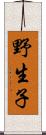 野生子 Scroll