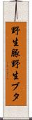 野生豚 Scroll