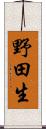 野田生 Scroll