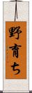 野育ち Scroll
