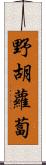 野胡蘿蔔 Scroll