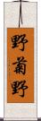 野菊野 Scroll