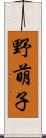 野萌子 Scroll