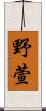 野萱 Scroll