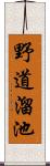 野道溜池 Scroll