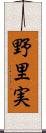 野里実 Scroll