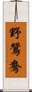 野鴛鴦 Scroll