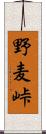 野麦峠 Scroll