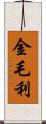 金毛利 Scroll