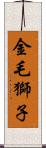 金毛獅子 Scroll