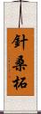 針桑;柘 Scroll