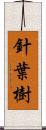 針葉樹 Scroll