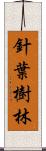 針葉樹林 Scroll