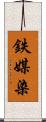 鉄媒染 Scroll