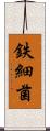 鉄細菌 Scroll