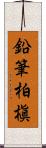 鉛筆柏槇 Scroll