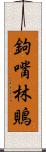 鉤嘴林鵙 Scroll