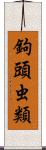 鉤頭虫類 Scroll