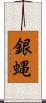 銀蝿 Scroll