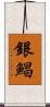 銀鯧 Scroll