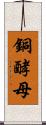 銅酵母 Scroll