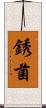 銹菌 Scroll