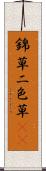 錦草 Scroll