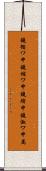 鐃循ワ申鐃縮ワ申鐃緒申鐃淑ワ申属 Scroll