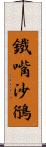 鐵嘴沙鴴 Scroll