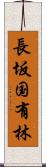 長坂国有林 Scroll