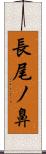 長尾ノ鼻 Scroll