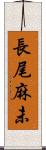 長尾麻未 Scroll