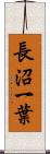 長沼一葉 Scroll