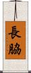 長脇 Scroll