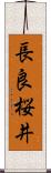 長良桜井 Scroll