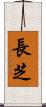 長芝 Scroll
