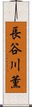 長谷川薫 Scroll